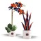 Auburn Tigers Faux Snake Plant and Orchid (2 Pack) - Fan-Favorite Gift Bundle